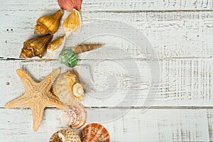 Fish star and sea shells on the wooden background