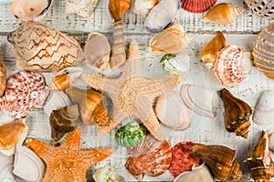 Fish star and sea shells on the wooden background