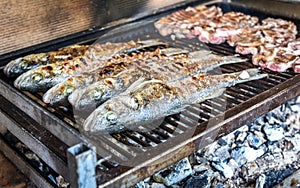 Fish and steak on the charcoal grill together