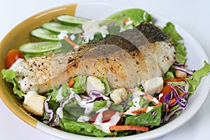 fish steak salad 01