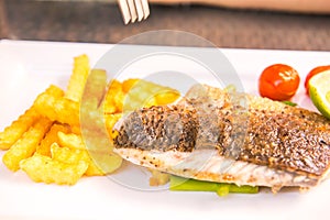 Fish steak white plate