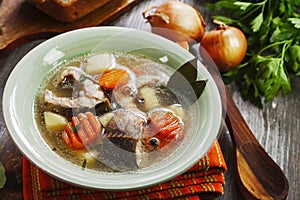 Fish sterlet soup