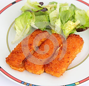 Fish sticks