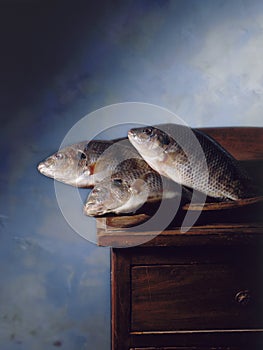 Fish still life