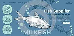 Fish supplier sea to plate in two days website