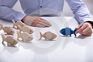 Fish Swimming Other Direction