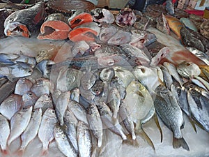 Fish on the table of a fish market vendor