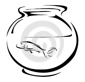Fish tank photo