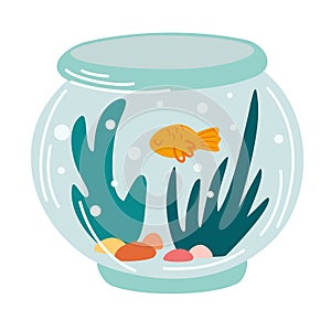 Fish tank. Round glass aquarium with goldfish and algae. An interior item with pets. Vector cartoon illustration isolated on the