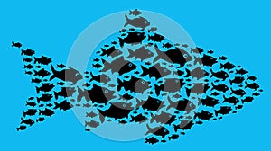 Fish in team concept