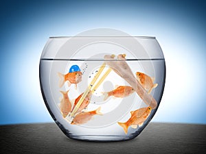 Fish teamwork concept