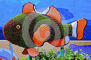 Fish topiary
