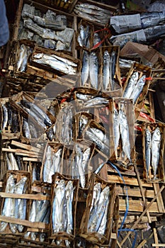 Fish traders for consumption at the Temanggung traditional market