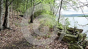 Fish trail at Shoal Bay campground with colorful rocks and tall trees