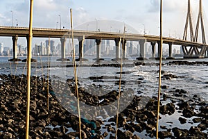 Fish traps in Mumbai.