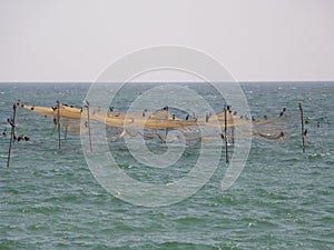 Fish traps photo