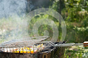 Fish with vegetables is cooked on the grill in the garden