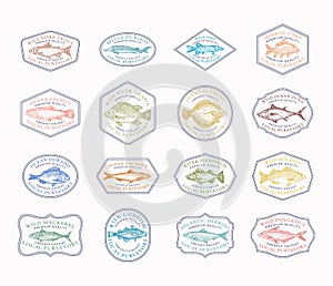 Fish Vintage Frame Badges or Logo Templates Collection. Hand Drawn River and Ocean Fishes Sketch Emblems Bundle with