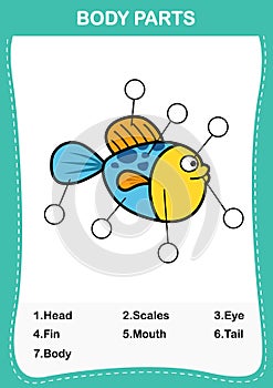 Fish vocabulary part of body,Write the correct numbers of body parts