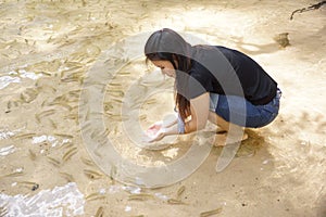 Fish at waterfall