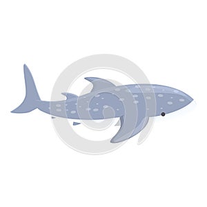 Fish whale shark icon cartoon vector. Sea animal