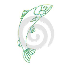 Fish on the white background jumping