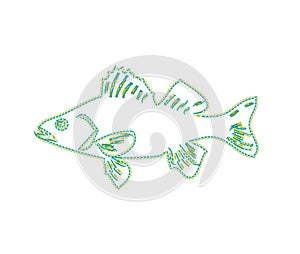 Fish on the white background swimming