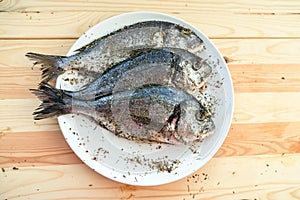 Fish on white plate background