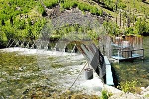 A fish wier or trap photo