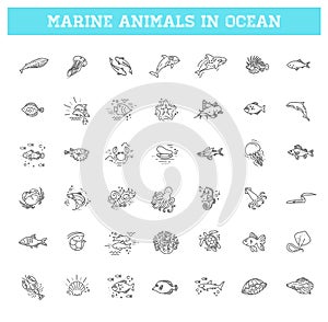Fish and wild marine animals in ocean.
