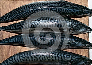 Fish on a wooden background.