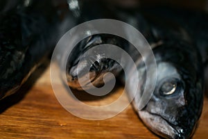 Fish on a wooden background.