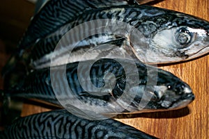 Fish on a wooden background. Mackerel