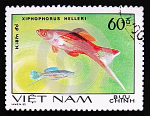 Fish Xiphophorus helleri, Aquarium fishes series, circa 1980