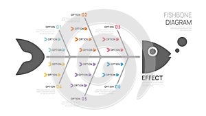 Fishbone Diagram Cause and Effect Template for business Timeline infographics. vector design