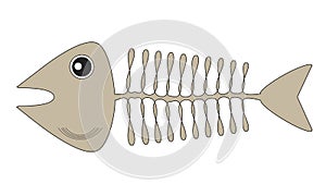 The fishbone drawing, skeleton of the aquatic vertebrate animal photo