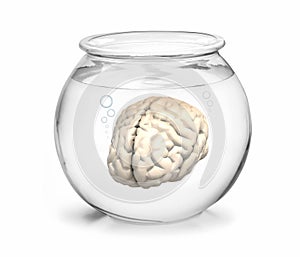 Fishbowl with brain inside photo