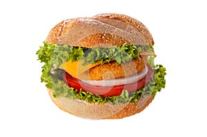 Fishburger isolated
