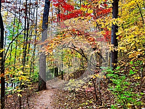 Fishburn Park Virginia