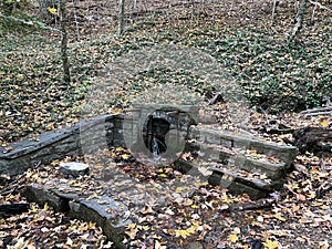 Fishburn Park Virginia