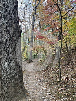 Fishburn Park Virginia