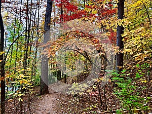 Fishburn Park Virginia