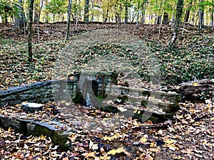 Fishburn Park Virginia