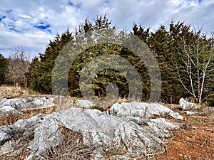 Fishburn Park Virginia