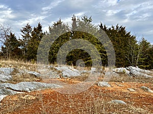 Fishburn Park Virginia