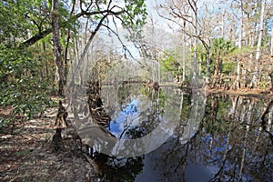 Fisheating Creek, Florida.