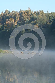 Fisher on bank of river in the morning