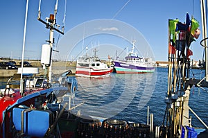 Fisher boats in Joinville port in Yeu Island