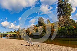 Fisher man walking with gear along Russian River over rocky beach