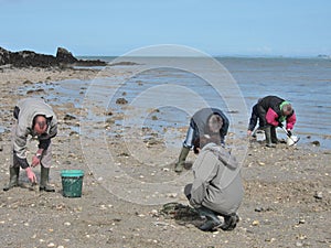 Fisher in Plerin Brittany
